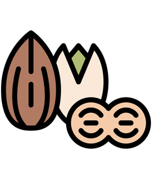 Nuts Seeds Category Icon